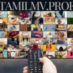 Exploring 1tamilmv.prof: A Gateway to Entertainment