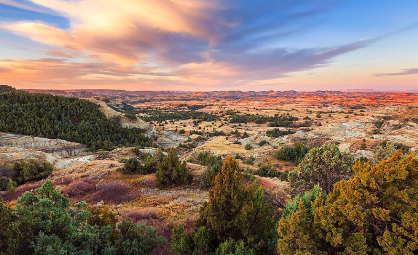 TotallyNDFW: Discovering the Heart of North Texas