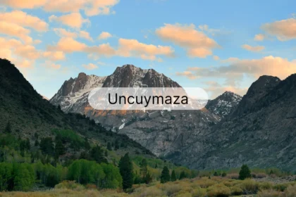 Uncuymaza: Unlocking the 7 Hidden Insights