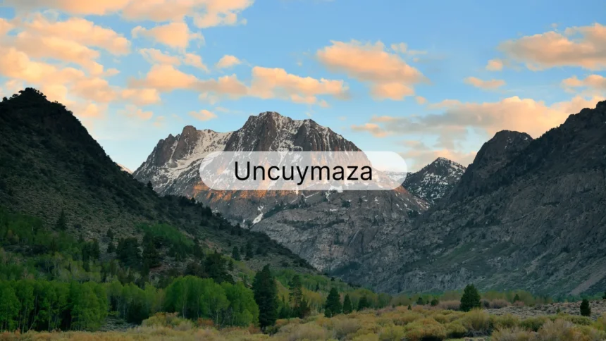 Uncuymaza: Unlocking the 7 Hidden Insights