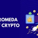 Andromeda VENFT Crypto Dive into the Next Generation of Digital Assets