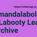 Explore Amanda Labollita NSFW Leak Archive